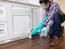 Real Estate Pest Inspections in Grayson, CA